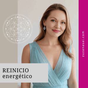 REINICIO energético